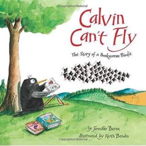 Calvin Can't Fly