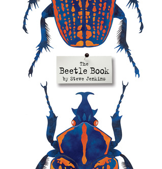 beetle