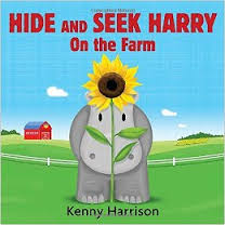 Hide and Seek Harry