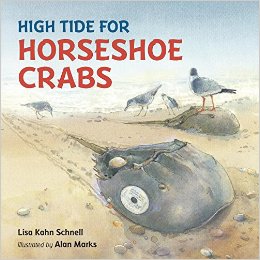 high tide for horseshoe crabs