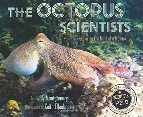 octopus scientist